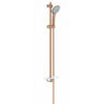 Душевой гарнитур со штангой Grohe Euphoria 27226DL1