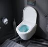 Унитаз подвесной Am.Pm Sense C741701SC с сиденьям Soft Close