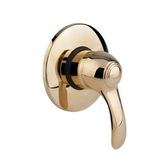 Смеситель для душа встроенный Bianchi Class INDCLS2007ORO