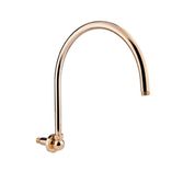 Кронштейн для верхнего душа Bianchi BRDOLF090000ORO