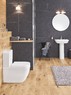 Сиденье для унитаза GROHE Euro Ceramic (с микролифтом), альпин-белый (39330000)