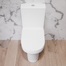 Унитаз напольный Am Pm Tender C45A8800SC с сиденьям Soft Close