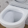 Унитаз напольный Am Pm Tender C45A8800SC с сиденьям Soft Close
